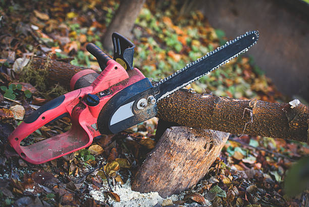 Lawn Pest Prevention in Balfour, NC